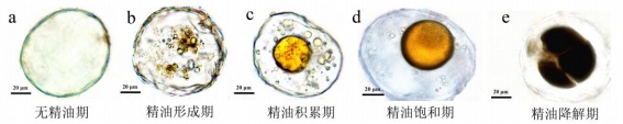 图2无标题.jpg